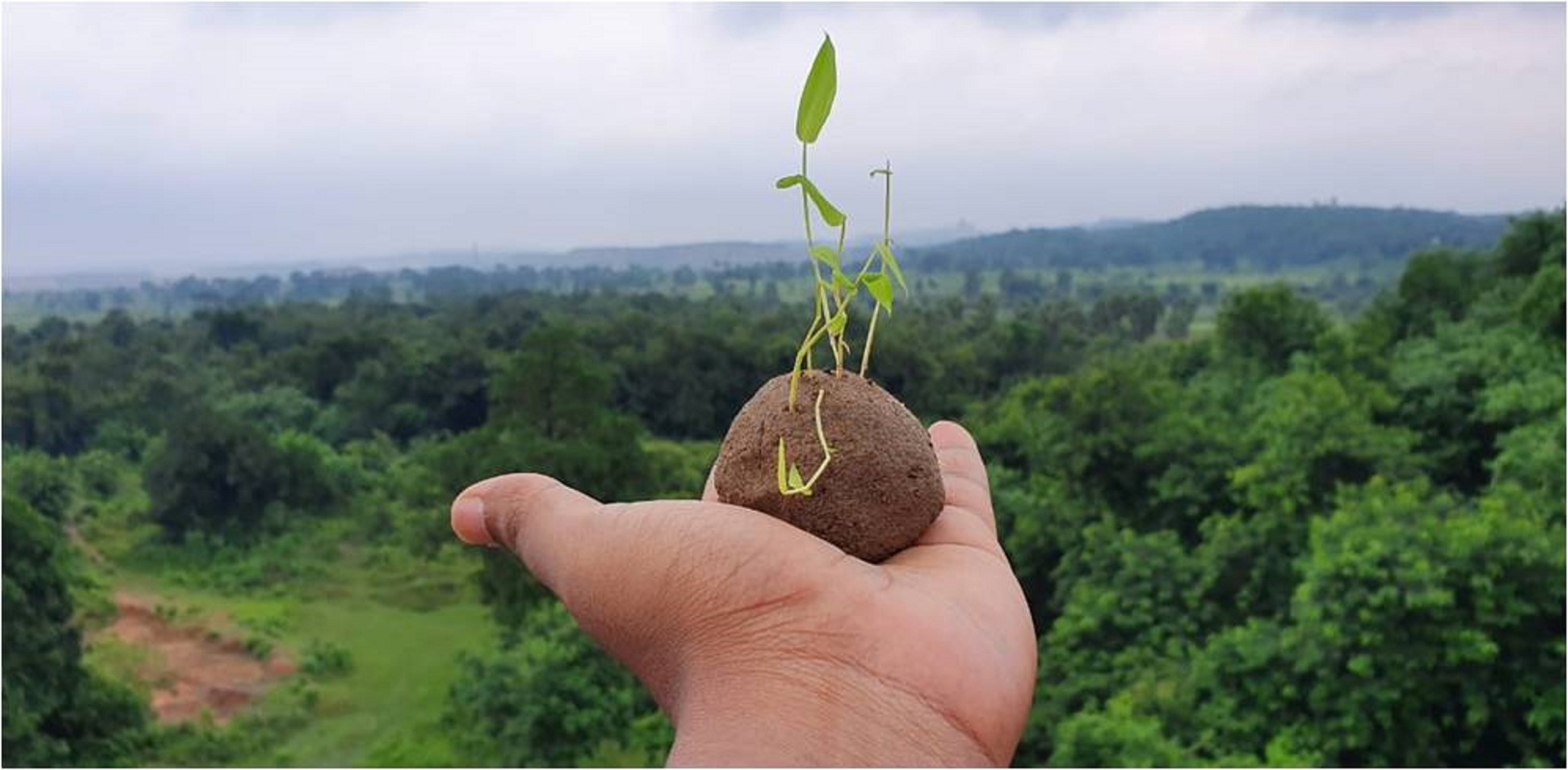 वृक्षारोपण आणि त्याचे फायदे